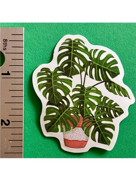 Other - 10/$10 Plant Aesthetic Sticker -Waterproof Vinyl Water Bottle Laptop Scrapbook